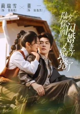 陆少,你的闪婚妻子又跑路了