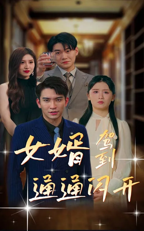 女婿驾到,通通闪开